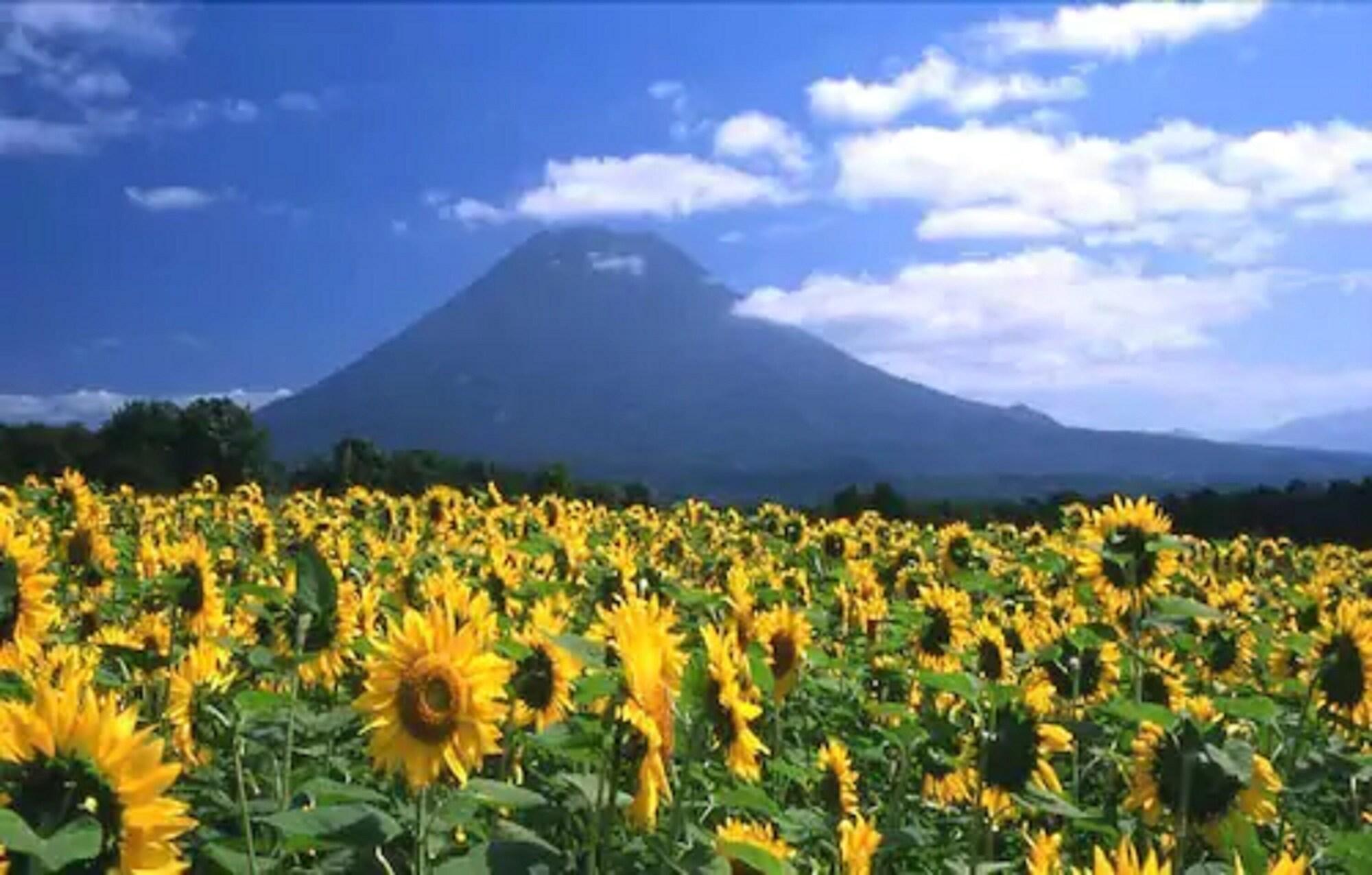 Niseko Prince Hotel Hirafutei מראה חיצוני תמונה