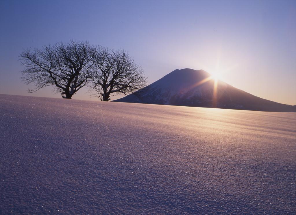 Niseko Prince Hotel Hirafutei מראה חיצוני תמונה