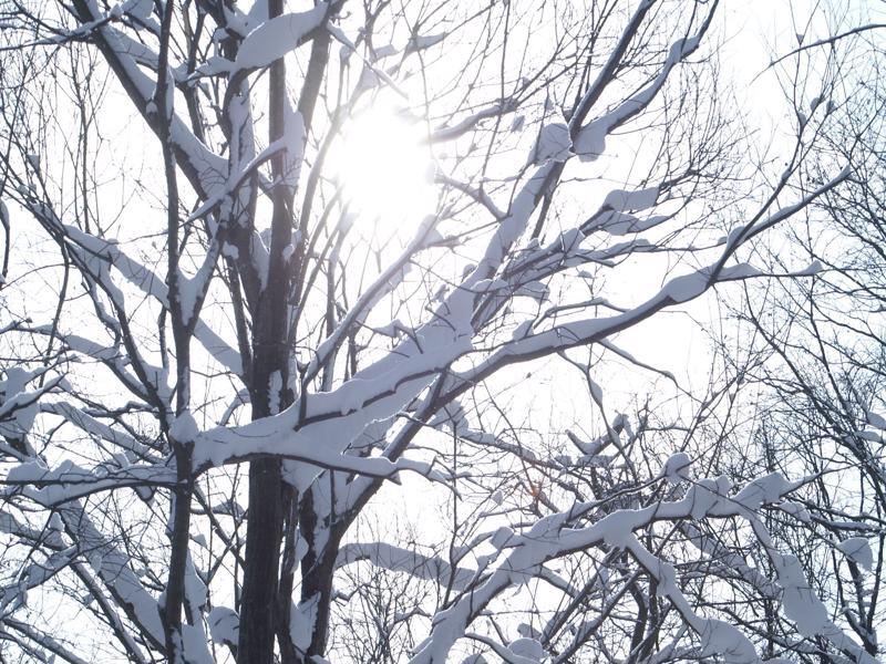 Niseko Prince Hotel Hirafutei מראה חיצוני תמונה