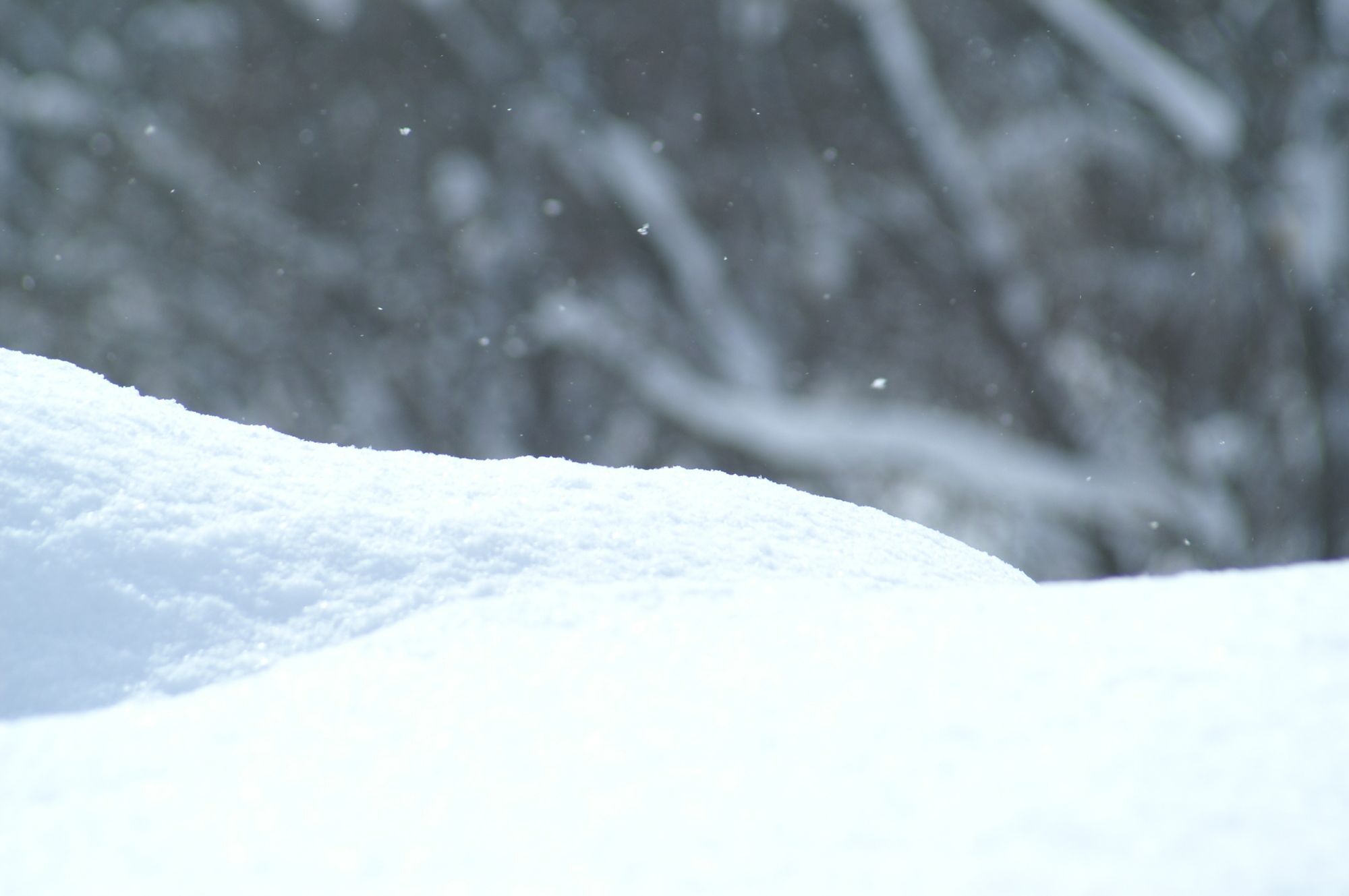 Niseko Prince Hotel Hirafutei מראה חיצוני תמונה